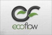 EcoFlow discount